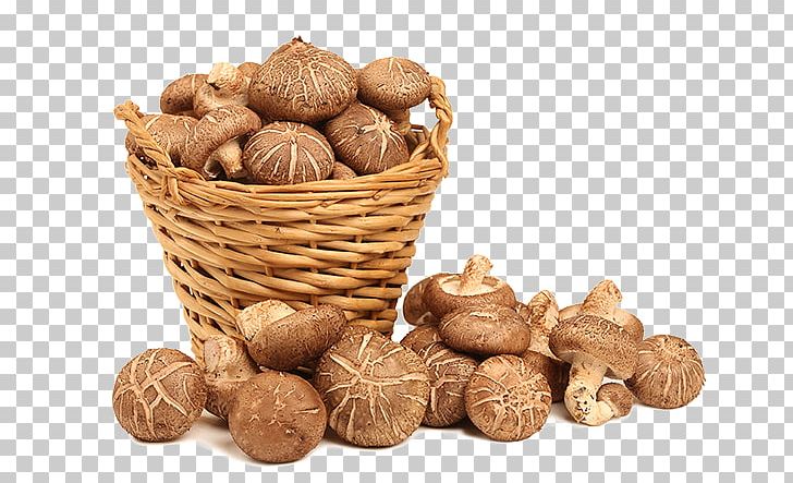 Lingzhi Mushroom Shiitake Dietary Supplement Health PNG, Clipart, Anticancer, Betacarotene, Betaglucan, Commodity, Dietary Supplement Free PNG Download