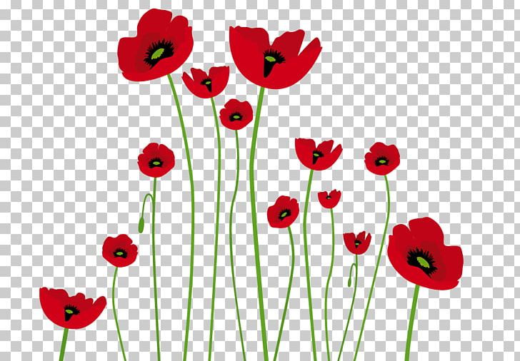 Drawing Common Poppy Watercolor Painting Art PNG, Clipart, Amapola, Art, Color, Common Poppy, Coquelicot Free PNG Download