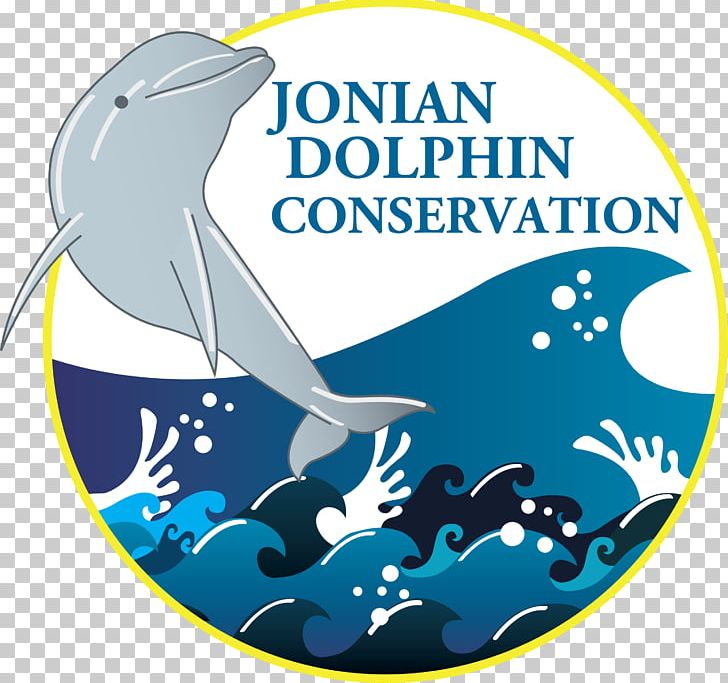 Jonian Dolphin Conservation Striped Dolphin Cetaceans Gulf Of Taranto PNG, Clipart, Area, Blue, Brand, Dolphin, Fish Free PNG Download