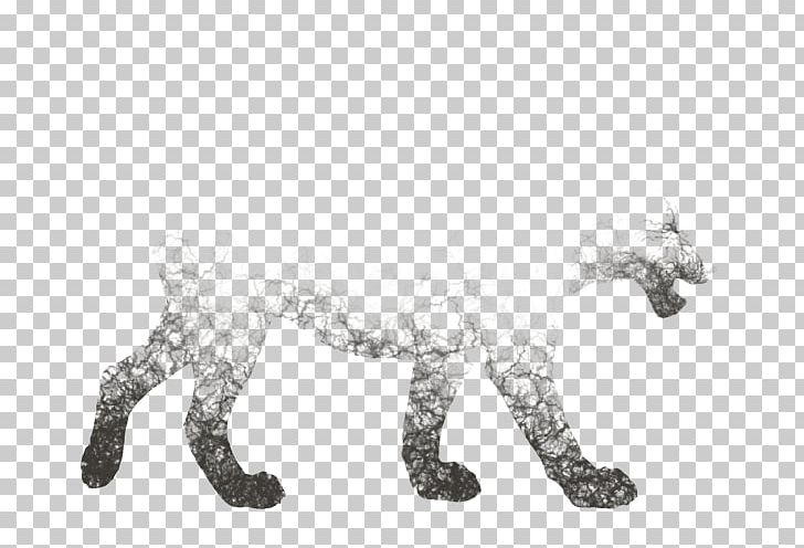 Lion YouTube Cat Dog Canidae PNG, Clipart, Animal Figure, Big Cat, Big Cats, Black And White, Canidae Free PNG Download