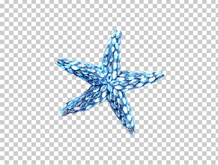 Starfish Blue Computer File PNG, Clipart, Animals, Aqua, Beach, Beach Material, Blue Free PNG Download