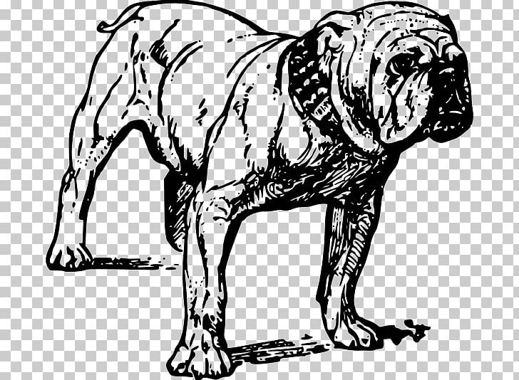 French Bulldog Alapaha Blue Blood Bulldog Pit Bull PNG, Clipart, Alapaha Blue Blood Bulldog, Art, Artwork, Big Cats, Bulldog Free PNG Download