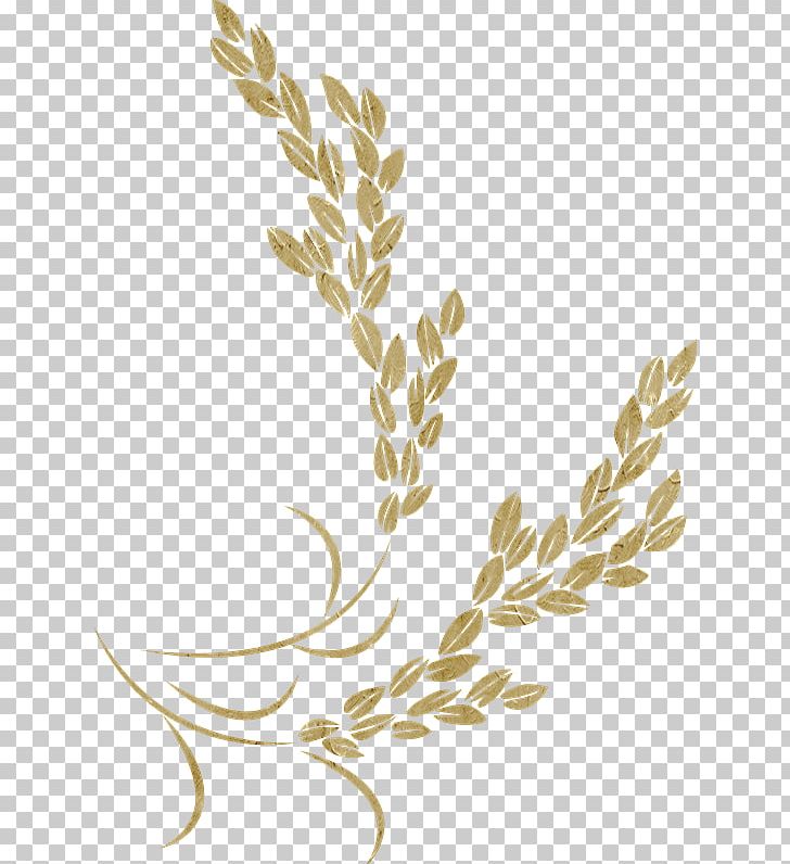 Golden Rice Icon PNG, Clipart, Adobe Illustrator, Branch, Brown Rice, Commodity, Download Free PNG Download