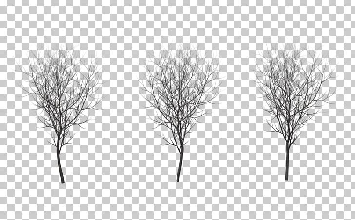 Tree Branch Winter Drawing Root PNG, Clipart, Black And White, Branch, Deviantart, Drawing, Grass Free PNG Download