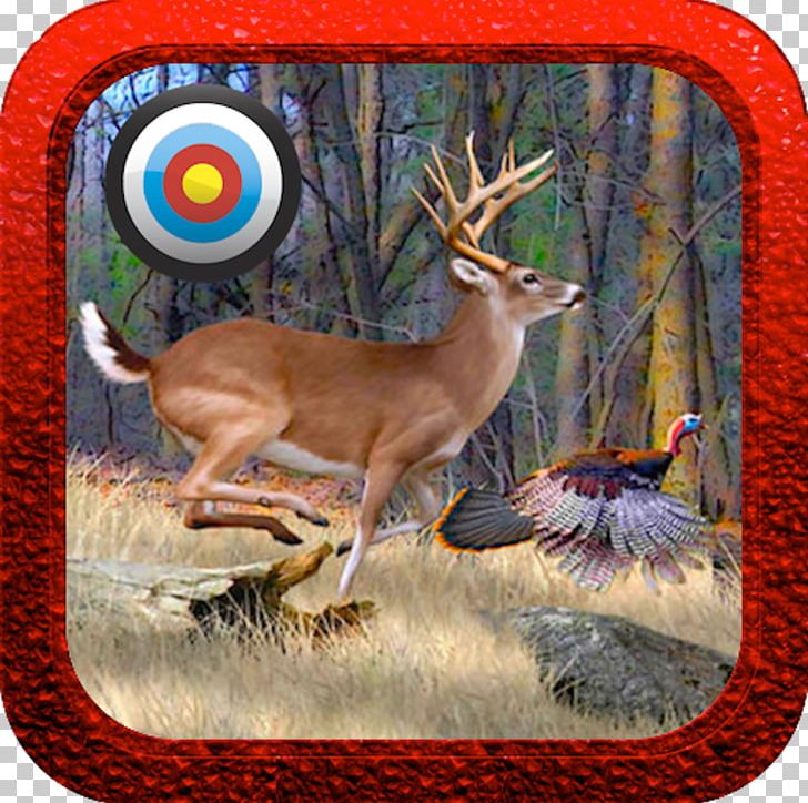 White-tailed Deer Antler Wildlife PNG, Clipart, Animals, Antler, Deer, Fauna, Hunter Free PNG Download