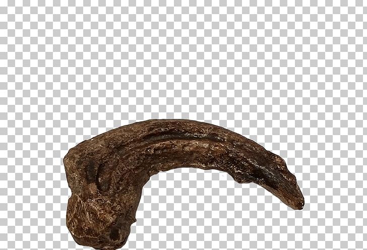 Wood /m/083vt PNG, Clipart, 500 X, Claw, Creation, Deinonychus, M083vt Free PNG Download