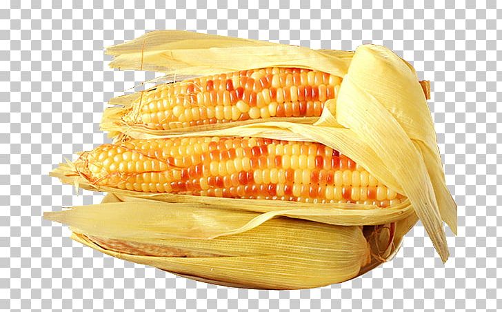 Corn On The Cob Waxy Corn Maize Corncob Food PNG, Clipart, Breakfast, Caryopsis, Cereal, Cob, Commodity Free PNG Download