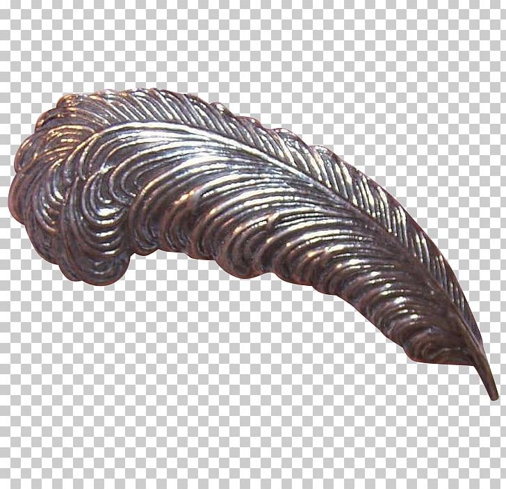 Brooch Pin Sterling Silver Feather PNG, Clipart, Antique, Antique Feather Amp Ink, Brooch, Button, Feather Free PNG Download