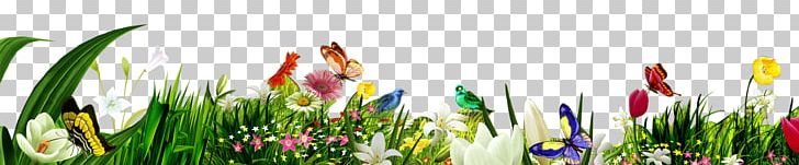 Butterfly Flower Herbaceous Plant PNG, Clipart, Butterfly, Butterfly Flower, Computer Wallpaper, Dancing, Field Free PNG Download