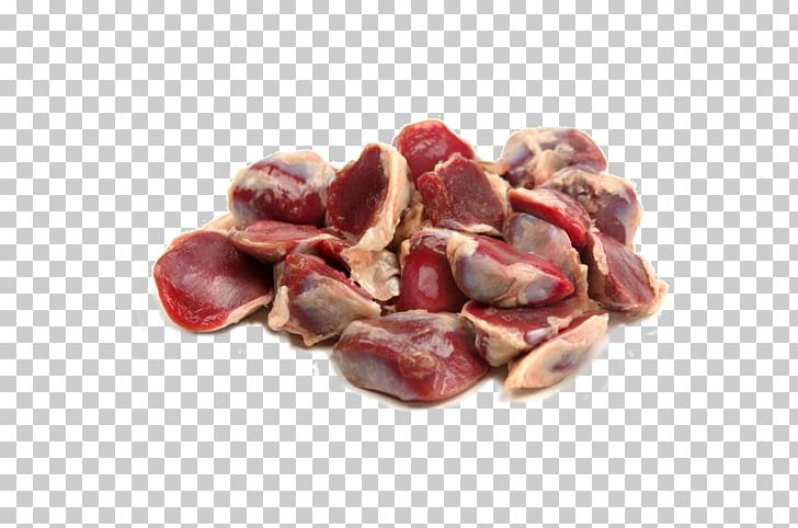 Gizzard Duck Atavik Dog Cat PNG, Clipart, Animal Source Foods, Carnivore, Cat, Dog, Duck Free PNG Download