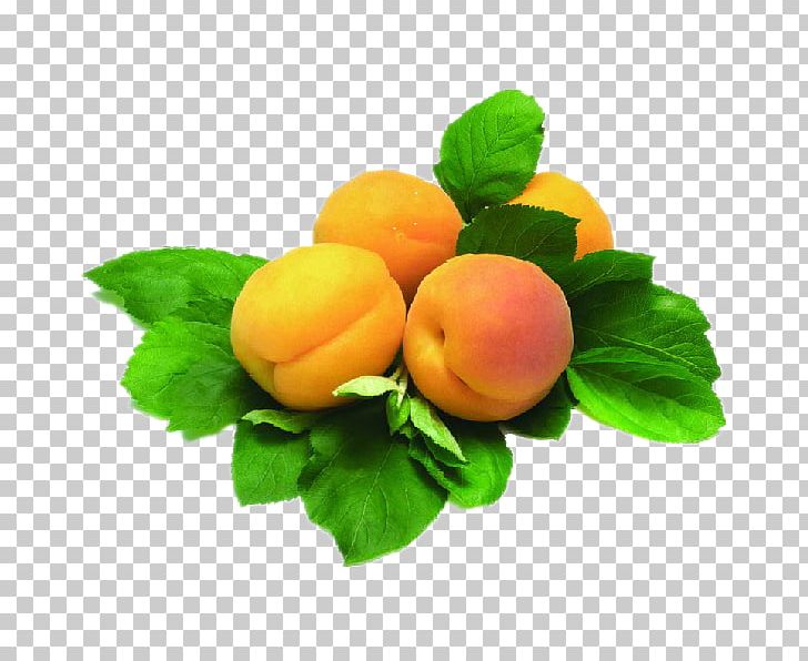 Juice Armenian Food Apricot Fruit Plum PNG, Clipart, Apricot, Armenian Food, Avocado, Candied Fruit, Citrus Free PNG Download