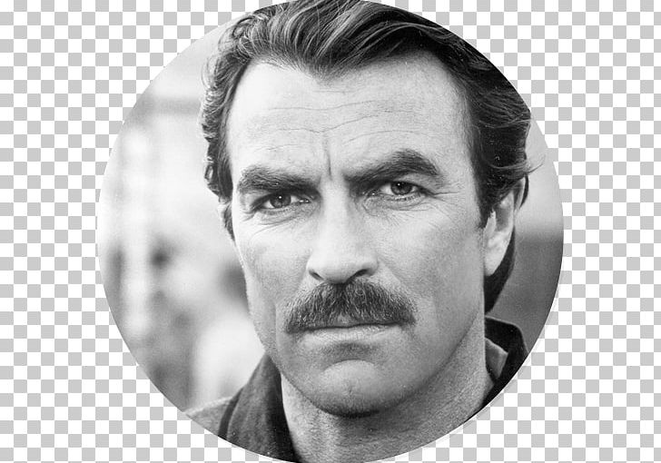 Tom Selleck Magnum PNG, Clipart, Actor, Celebrities, Face, Film, Head Free PNG Download