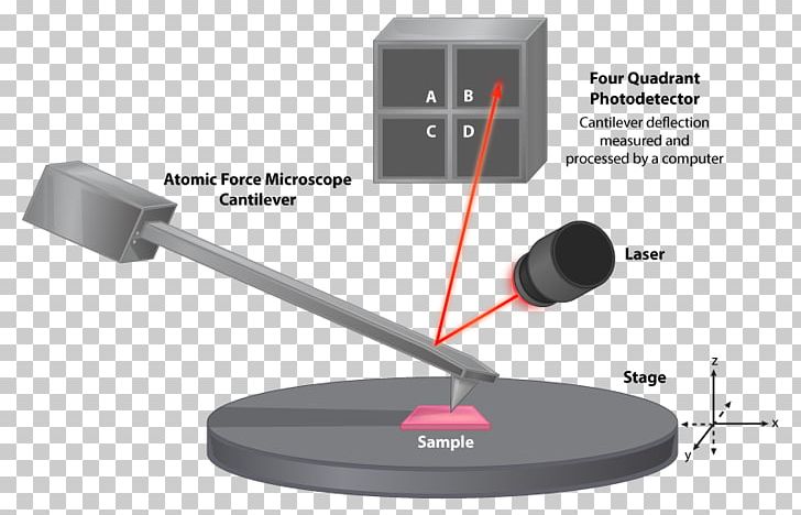 Atomic Force Microscopy Scanning Electron Microscope Microorganism PNG, Clipart, Atom, Audio Equipment, Confocal, Electronics Accessory, Electron Microscope Free PNG Download