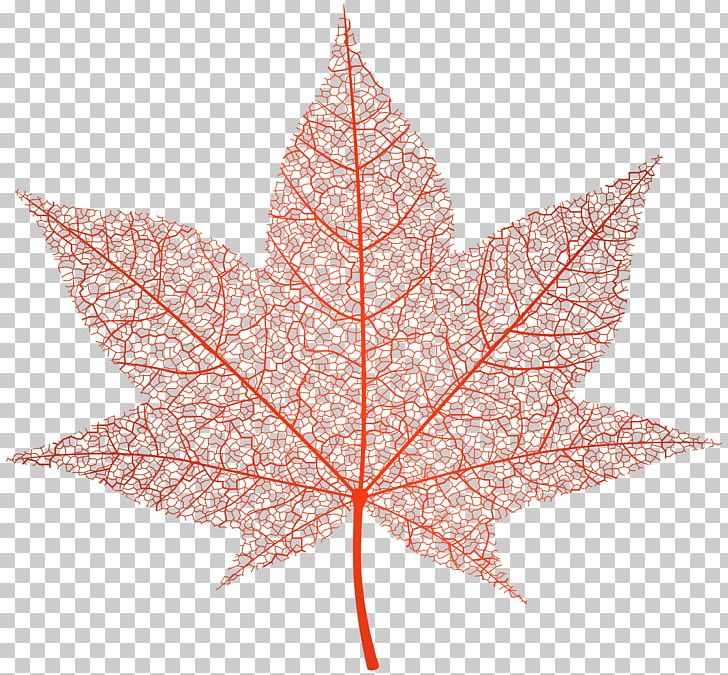 Autumn Leaf Color PNG, Clipart, Autumn, Autumn Leaf Color, Data Compression, Drawing, Flac Free PNG Download