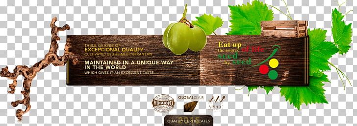 Uvas EL RECLOT Vinalopó Graphic Design Advertising Brand PNG, Clipart, Advertising, Brand, English, Graphic Design, Grass Free PNG Download