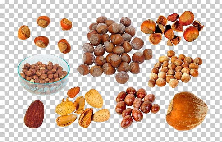 English Walnut Dried Fruit PNG, Clipart, Almond, Bean, Cashew, Commodity, Dried Free PNG Download