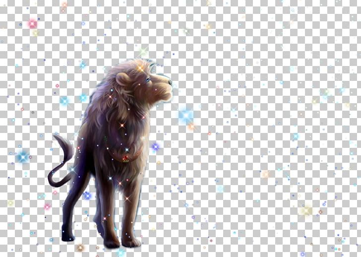 Lion Dog Breed Icon PNG, Clipart, Animals, Bright, Carnivoran, Catlike, Cat Like Mammal Free PNG Download