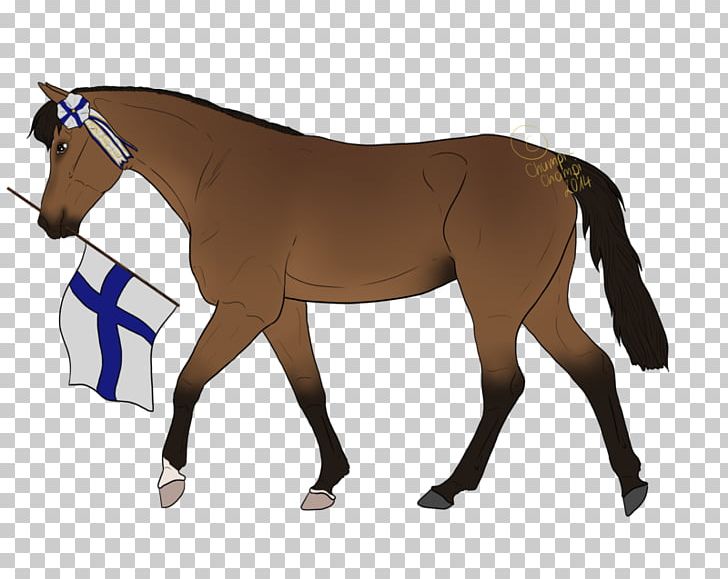 Mane Rein Stallion English Riding Mare PNG, Clipart, Bridle, Colt, English Riding, Equestrian, Equestrian Sport Free PNG Download