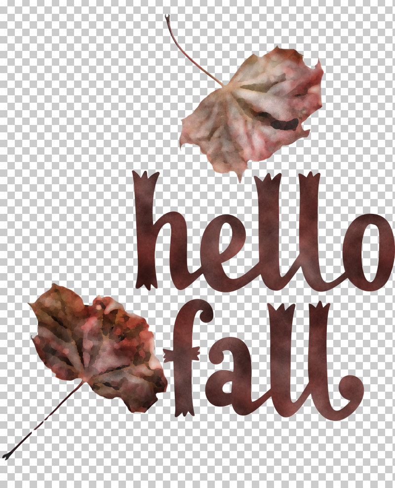 Hello Fall Fall Autumn PNG, Clipart, Autumn, Fall, Flower, Hello Fall, Meter Free PNG Download
