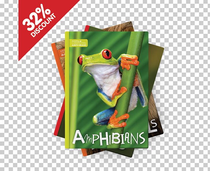 Amphibians Red-eyed Tree Frog Vertebrate Reptile PNG, Clipart, Amphibian, Amphibians, Animals, Frog, Nature Free PNG Download