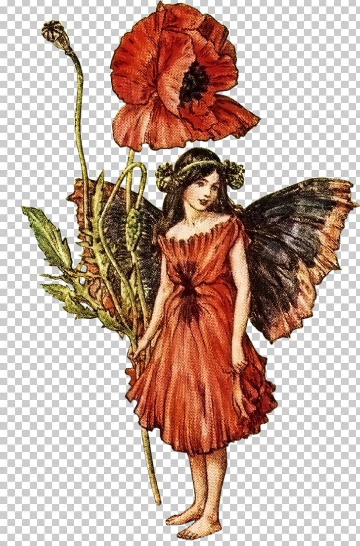 Croydon The Book Of The Flower Fairies Fairy Illustration PNG, Clipart, Art, Artist, Beautiful, Beautiful Elf, Book Free PNG Download