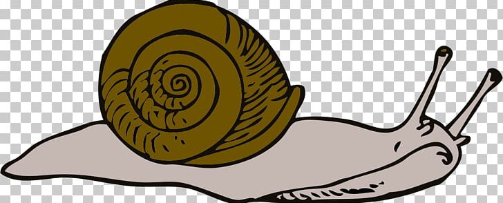 Escargot Sea Snail PNG, Clipart, Email, Escargot, Free Content, Gastropod Shell, Heliciculture Free PNG Download