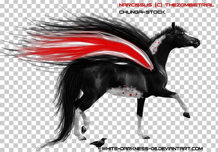 Mane Mustang Stallion Horse Harnesses Halter PNG, Clipart, Halter, Harness Racing, Horse, Horse Harness, Horse Harnesses Free PNG Download