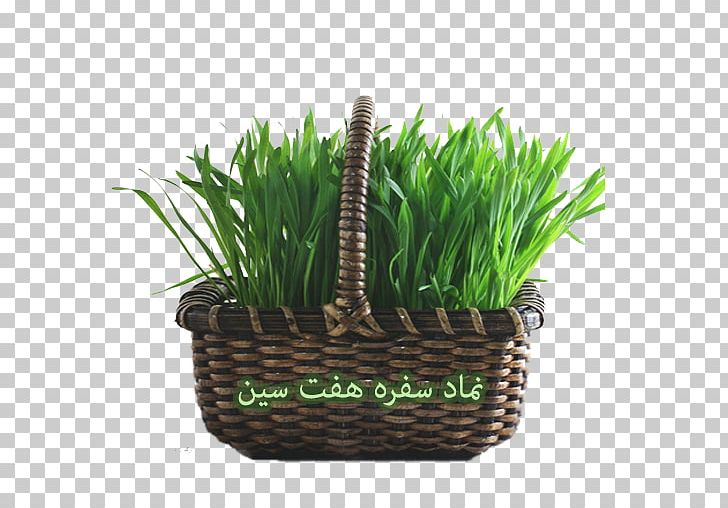 Haft-sin Sabze Nowruz New Year Holiday PNG, Clipart, Active, Android, Basket, Computer Program, Computer Software Free PNG Download