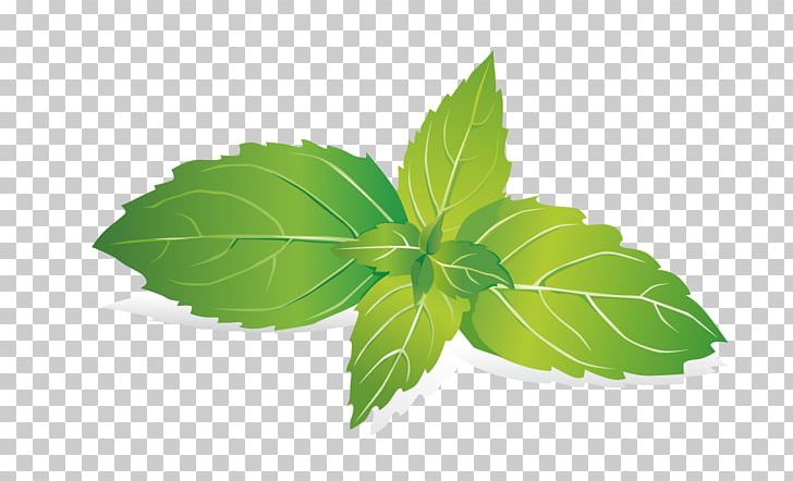 Leaf Mint Raster Graphics PNG, Clipart, Computer Icons, Decorative Patterns, Download, Green, Green Leaves Free PNG Download