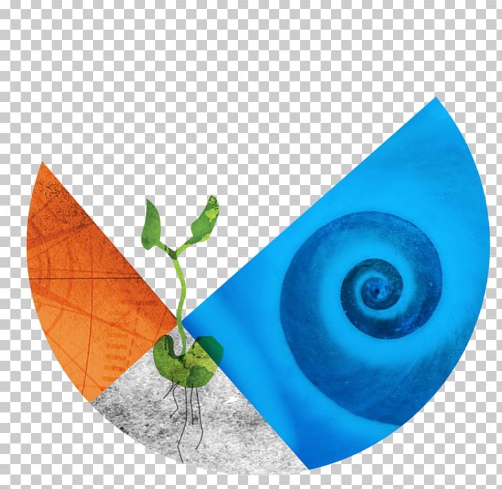 Leaf Turquoise PNG, Clipart, Aqua, Leaf, Organism, Personal Development, Spiral Free PNG Download