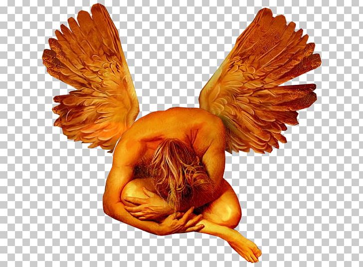 Photography Angel Man PNG, Clipart, Angel, Blog, Chicken, Emotion, Enthusiasm Free PNG Download