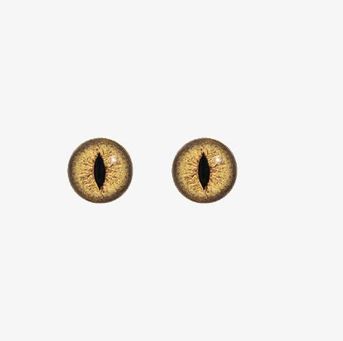 Animal Eyes PNG, Clipart, Animal, Animal Clipart, Animal Clipart, Animal Eyes, Eye Free PNG Download