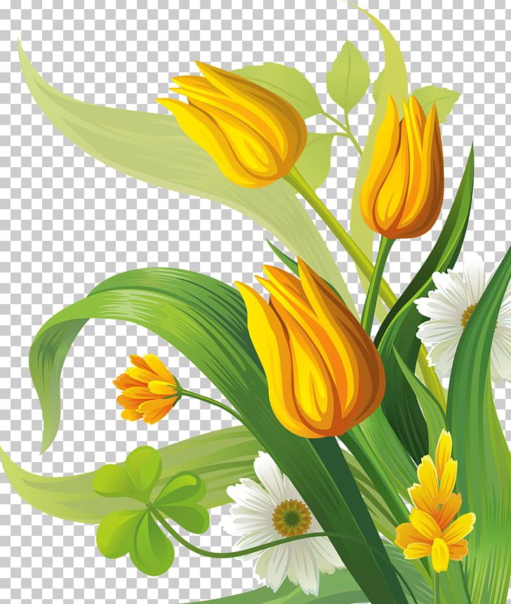 Flower PNG, Clipart, Computer Wallpaper, Desktop Wallpaper, Drawing, Floristry, Flower Free PNG Download