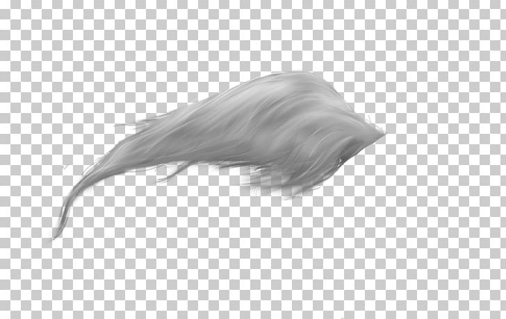 Horse Tail Feather PNG, Clipart, Animals, Art Long, Black And White, Clip Art, Computer Software Free PNG Download