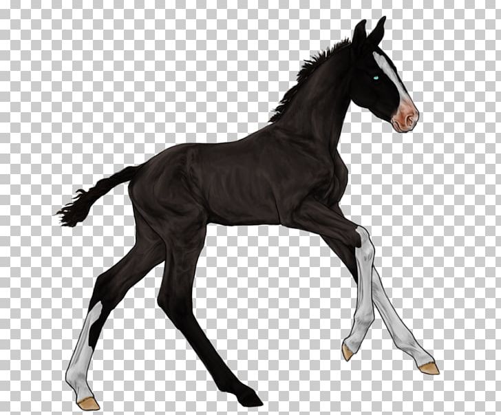 Mustang Foal Stallion Colt Morgan Horse PNG, Clipart, American Paint Horse, Animal Figure, Arabian Horse, Bridle, Chestnut Free PNG Download