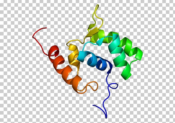 RNA Polymerase Protein Gene PNG, Clipart, Area, Artwork, Bacterial Transcription, Dna Polymerase, Doa Free PNG Download