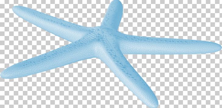 Starfish Sea PNG, Clipart, Aircraft, Airplane, Animals, Beach, Blue Free PNG Download