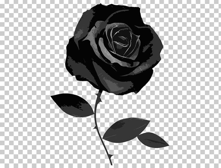 Black Rose Desktop PNG, Clipart, Black, Black And White, Computer Icons, Cut Flowers, Flower Free PNG Download