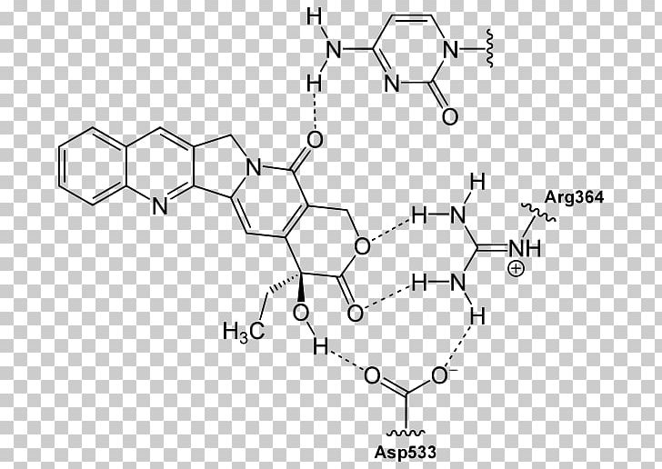 Camptothecin Structure Quinoline Alkaloid Chemistry PNG, Clipart, Alkaloid, Angle, Area, Auto Part, Binding Free PNG Download