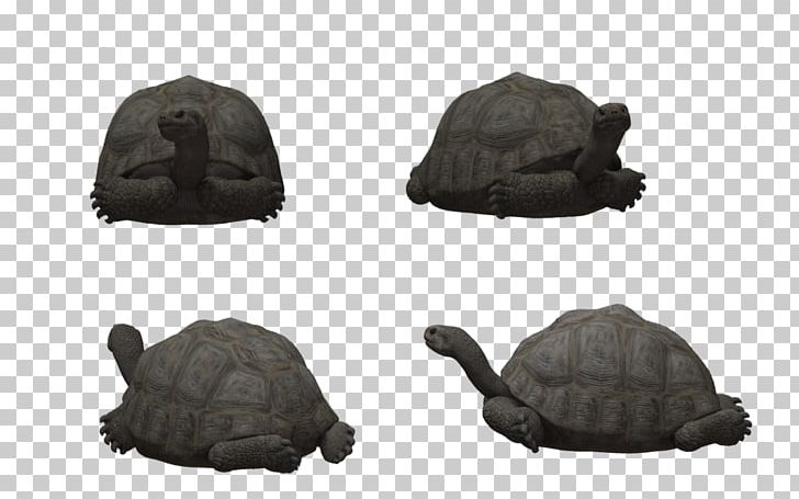 Reptile Tortoise Rendering Turtle Poser PNG, Clipart, 3d Computer Graphics, 3d Modeling, Animals, Deviantart, Download Free PNG Download