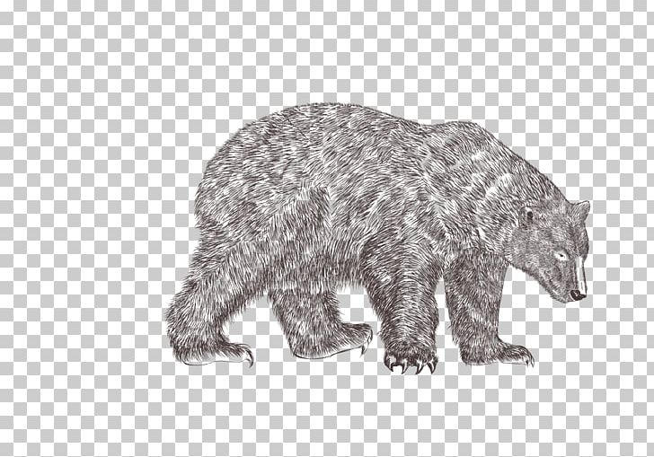 Grizzly Bear Animal Illustration PNG, Clipart, Animal, Animals, Bear, Bear Vector, Black And White Free PNG Download