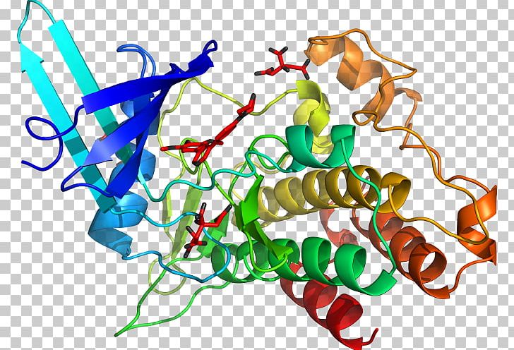 GSK-3 Glycogen Synthase Kinase GSK3B GSK3A Protein PNG, Clipart, Acvr1, Area, Artwork, Enzyme, Glycogen Synthase Free PNG Download
