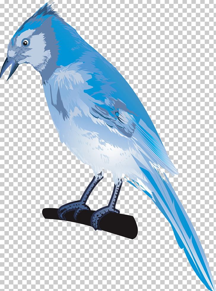 Parrot Lovebird Drawing Illustration PNG, Clipart, Animals, Beak, Bird, Blue, Blue Abstract Free PNG Download