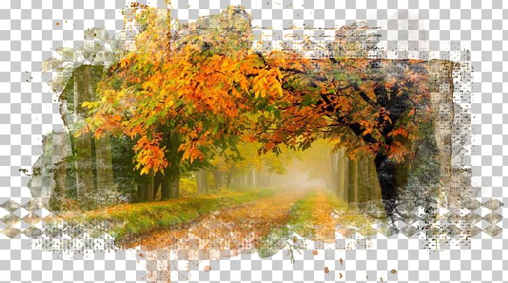 Nature PNG, Clipart, Art, Autumn, Autumn Background, Clip Art, Collage Free PNG Download