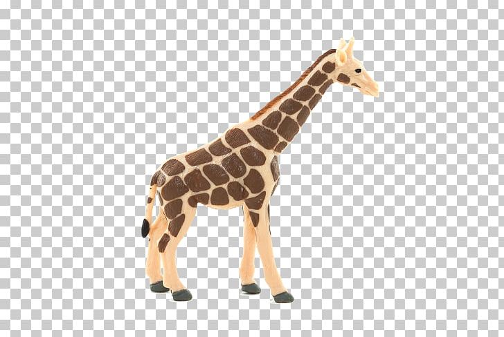 Northern Giraffe Okapi Animal Planet Lion PNG, Clipart, Animal, Animal Figure, Animal Planet, Animals, Basabizitza Free PNG Download