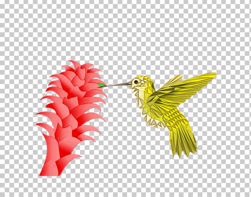 Hummingbirds Insect Cell Membrane Beak Biology PNG, Clipart, Beak, Biology, Cell, Cell Membrane, Hummingbirds Free PNG Download