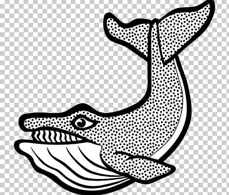 Las Ballenas Drawing Illustration Cetacea Mammal PNG, Clipart, Art, Artwork, Beluga Whale Clipart, Black, Black And White Free PNG Download