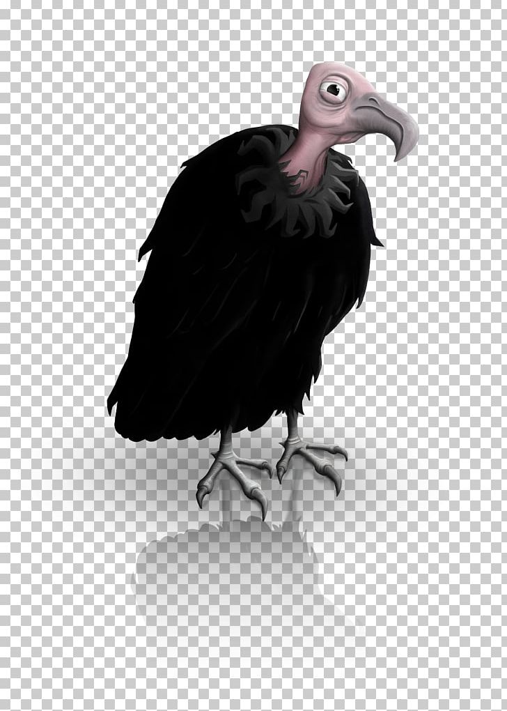 Condor Fauna Vulture Beak PNG, Clipart, Accipitriformes, Beak, Bird, Bird Of Prey, Condor Free PNG Download