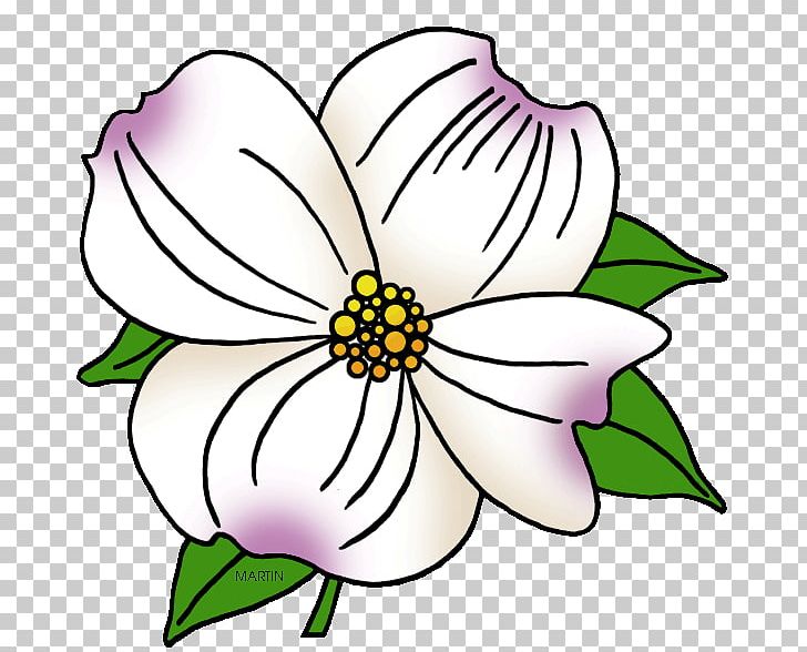 Flowering Dogwood Virginia PNG, Clipart, Artwork, Color, Coloring Book, Cut Flowers, Dogwood Free PNG Download