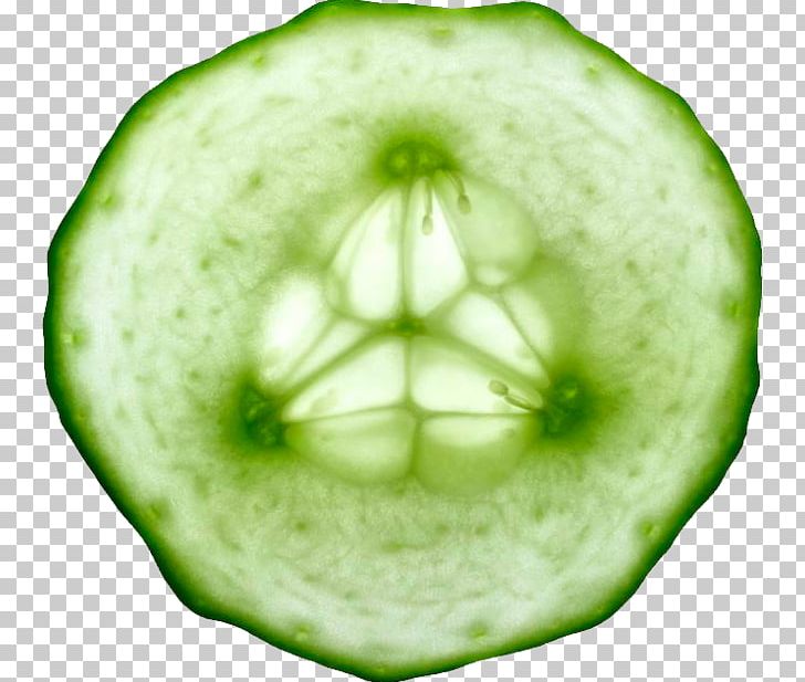 Pepino Vegetable Slicing Cucumber PNG, Clipart, Brussels Sprout, Closeup, Cucumber Gourd And Melon Family, Cucumber Slices, Cucumis Free PNG Download